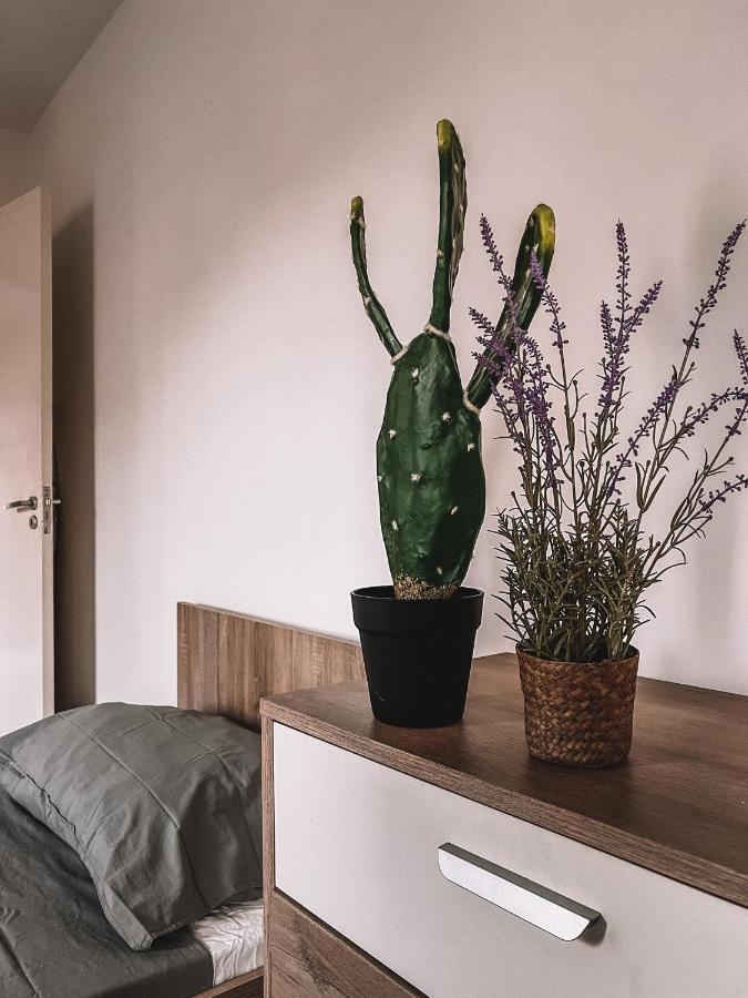Saint Julian's Cozy 3 Bedrooms Flat In Paceville מראה חיצוני תמונה